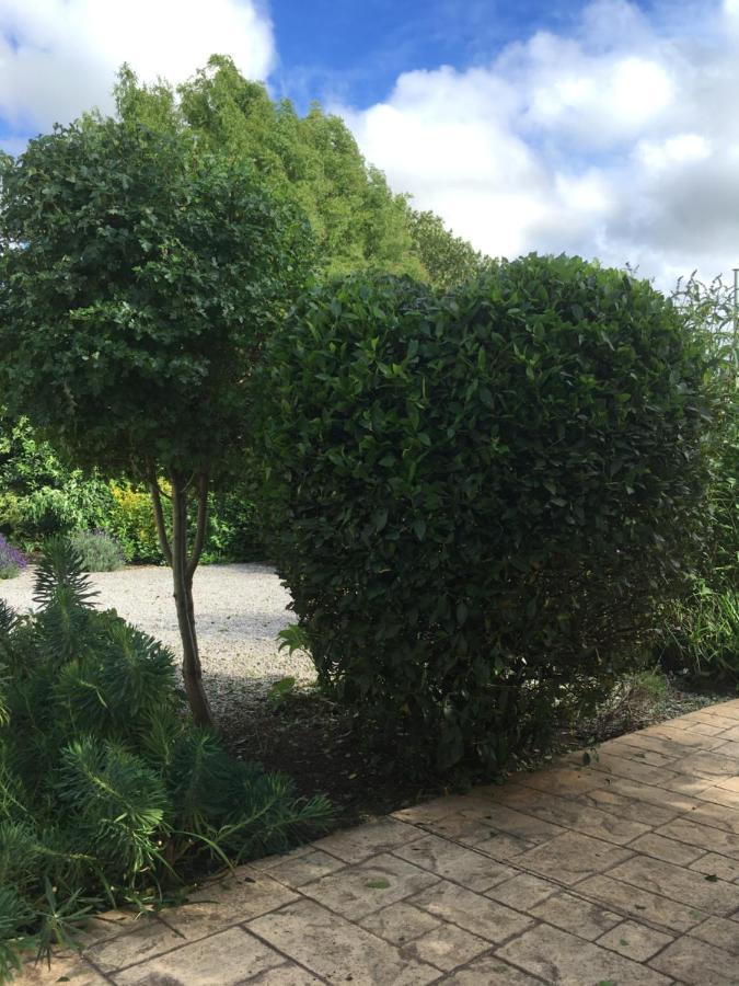 Knottingly The Hawthornes Licensed Guest House מראה חיצוני תמונה
